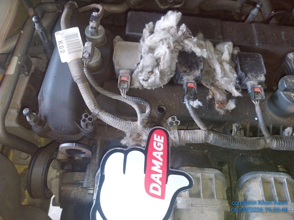 FORD FORD025 2.0 Sport AT Hatch (AB/ABS) 2015