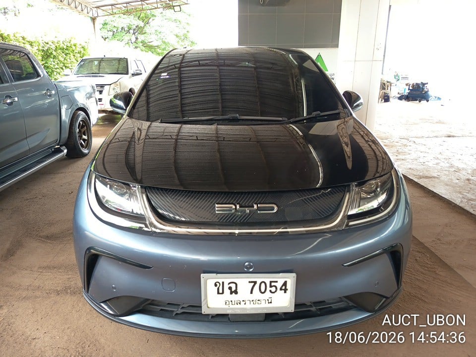 BYD BYD007 2024