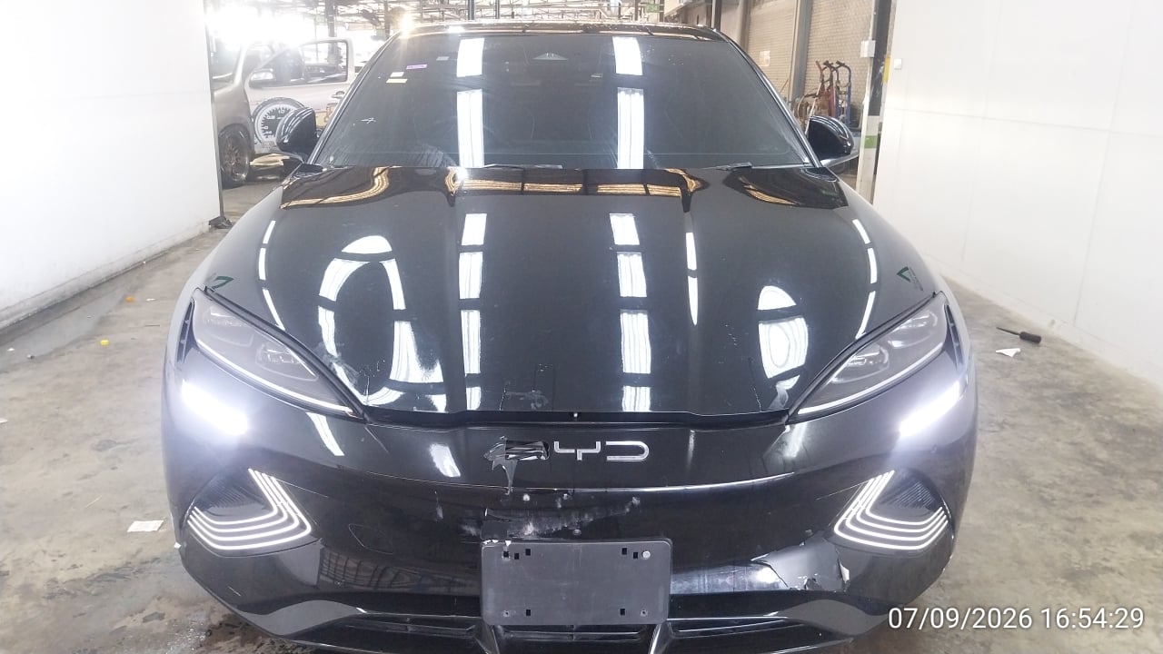BYD BYD005 Dynamic (EV) (AB/ABS) 2024