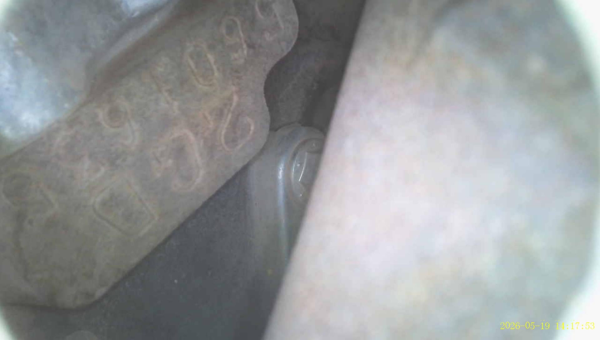 TOYO TOYO0138 Single Cab 2.4 MT 2024