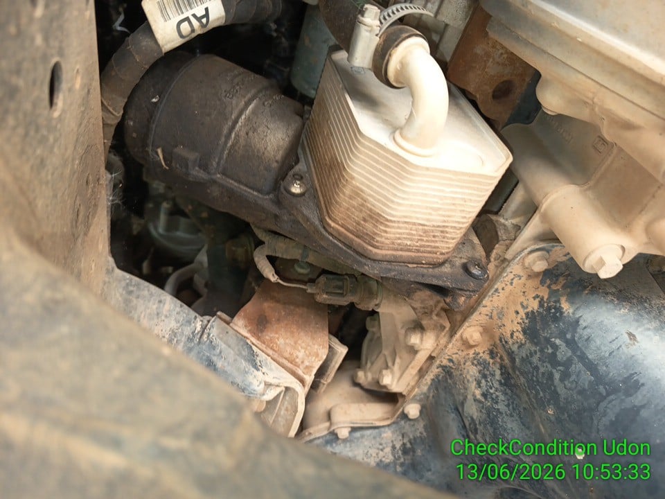 FORD FORD008 Open Cab 2.2 XL MT 2020