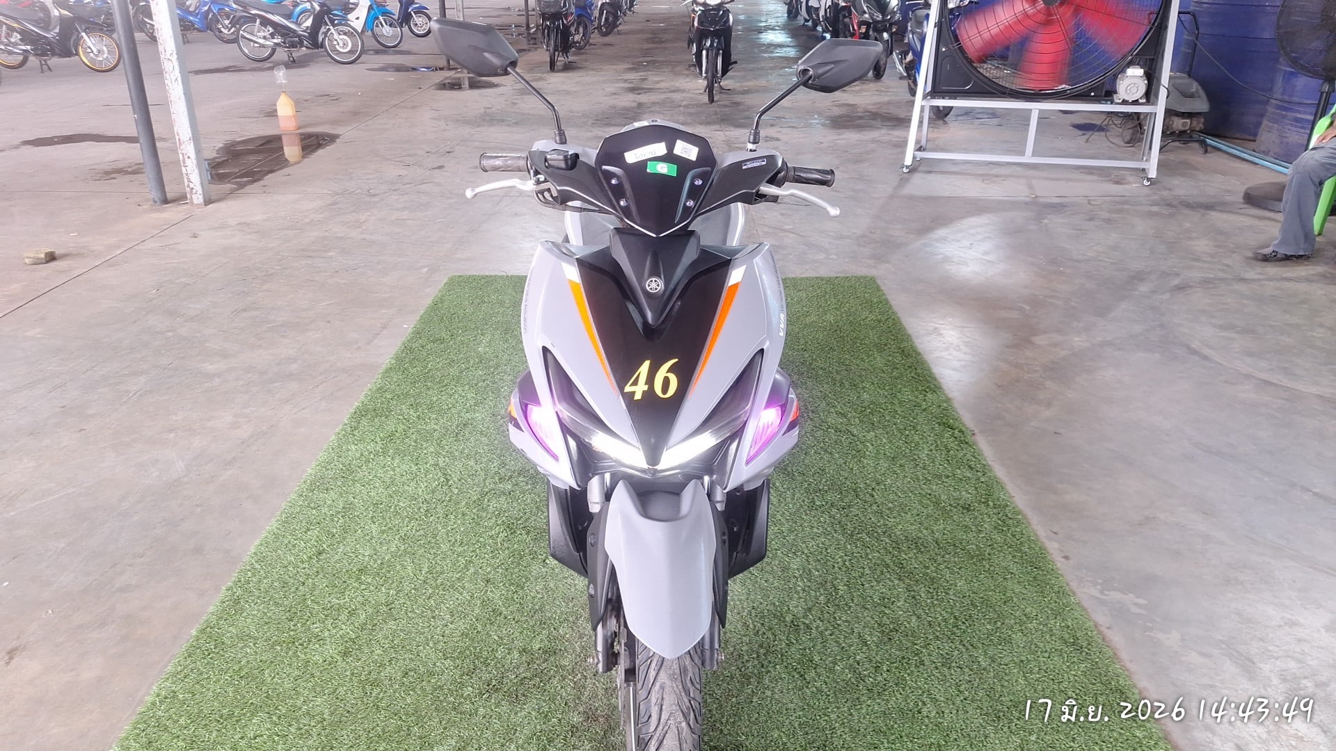 YAMA YAMA065 2019