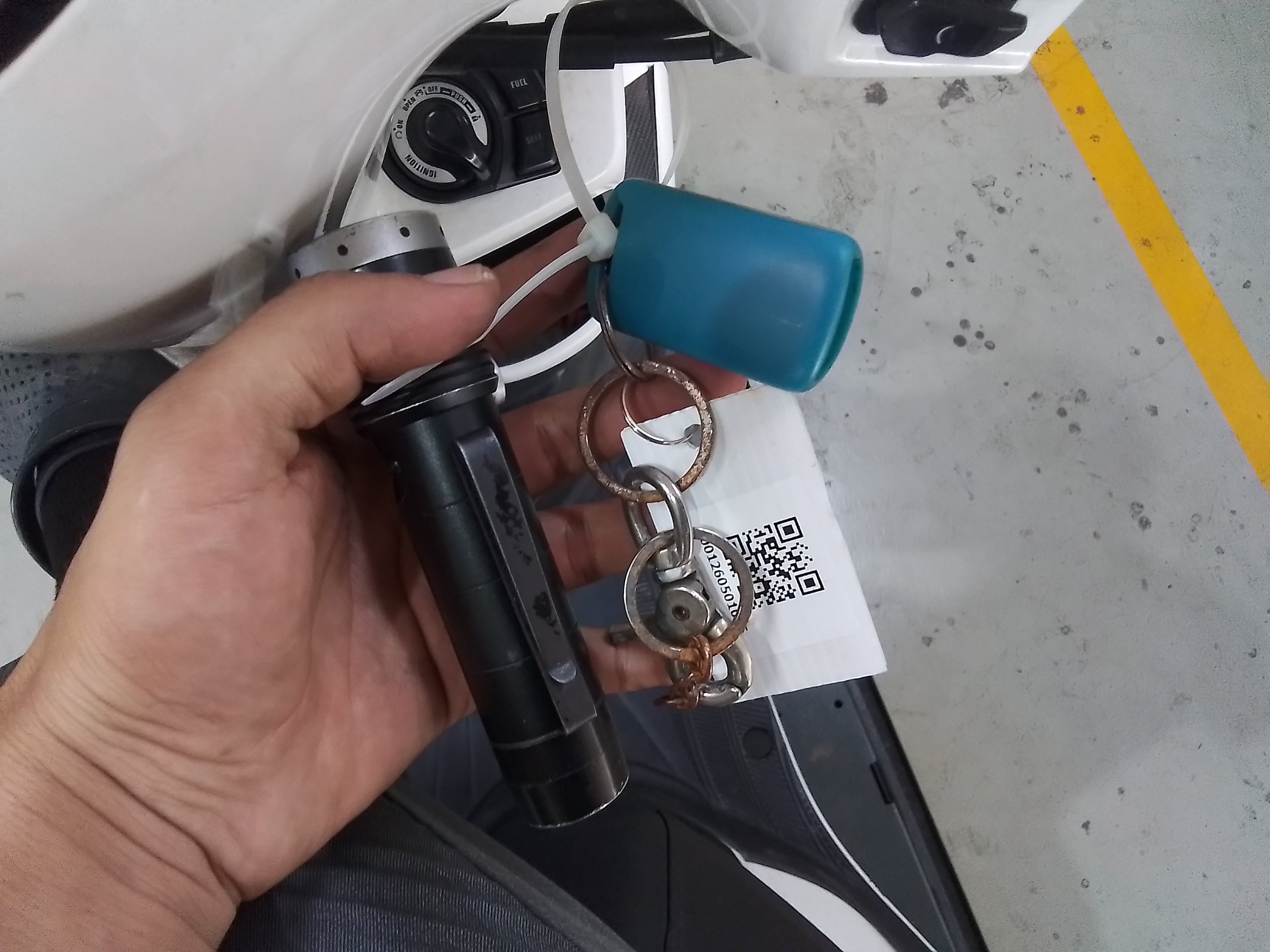 YAMA YAMA117 ABS 2024