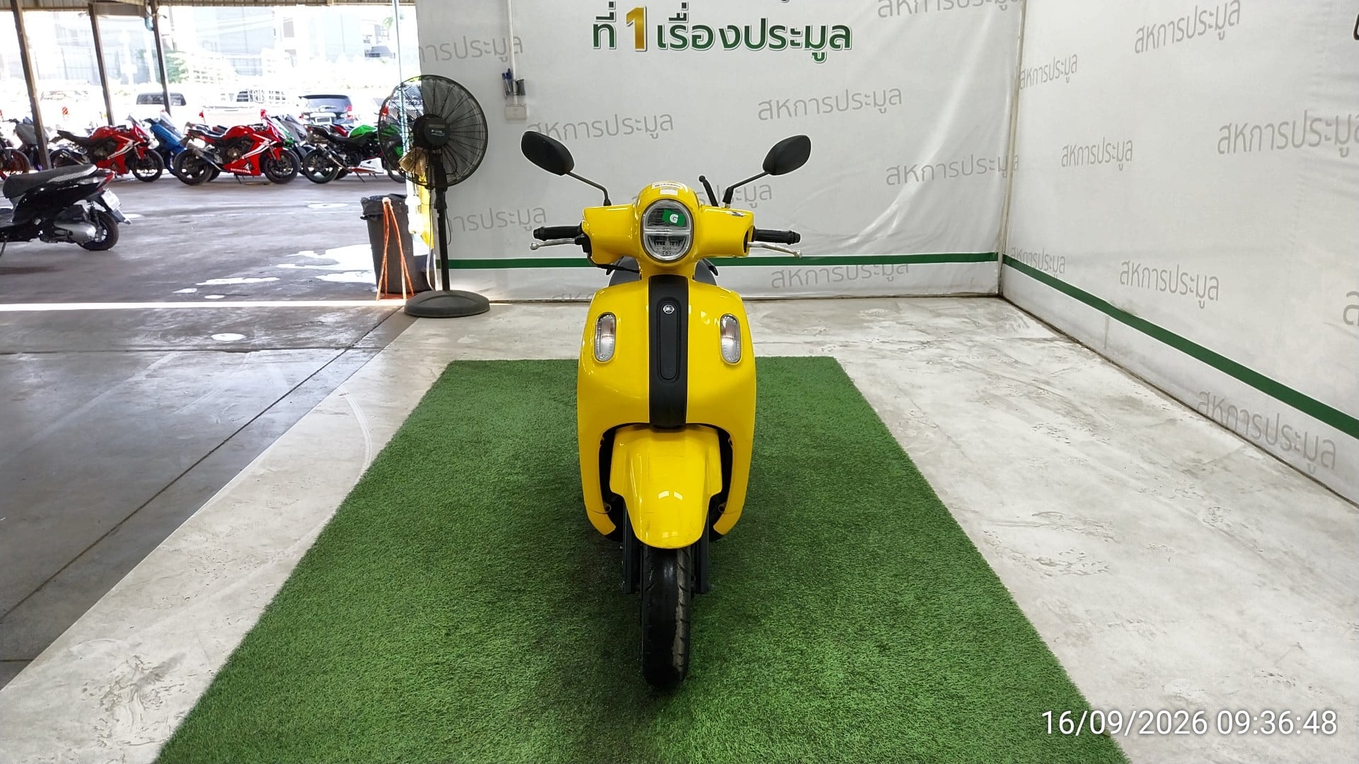 YAMA YAMA118 2023