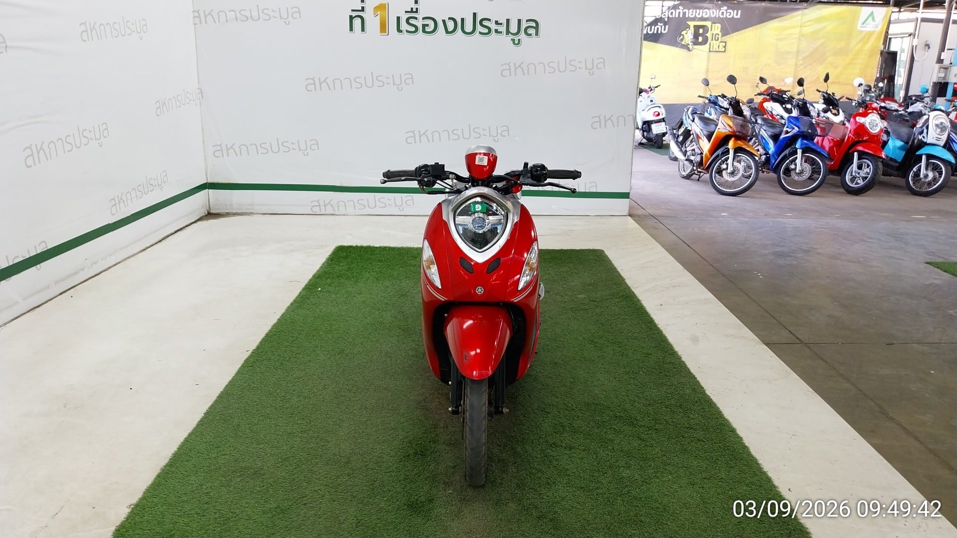 YAMA YAMA056 2023