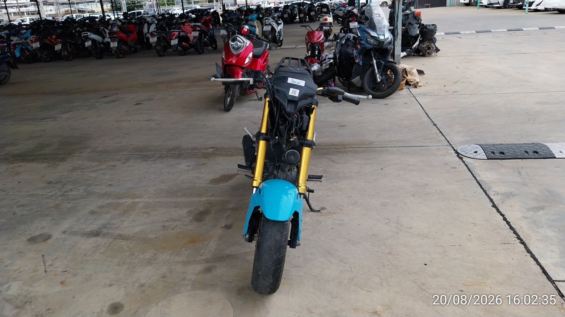 HOND HOND065 2019