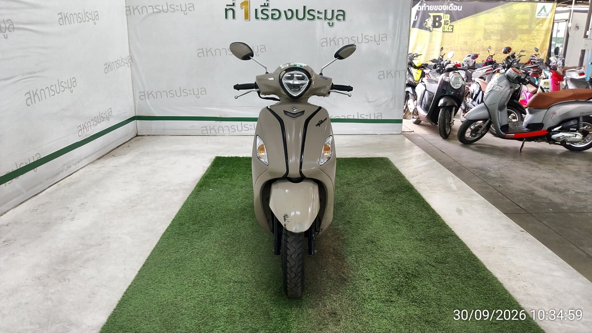 YAMA YAMA117 2023