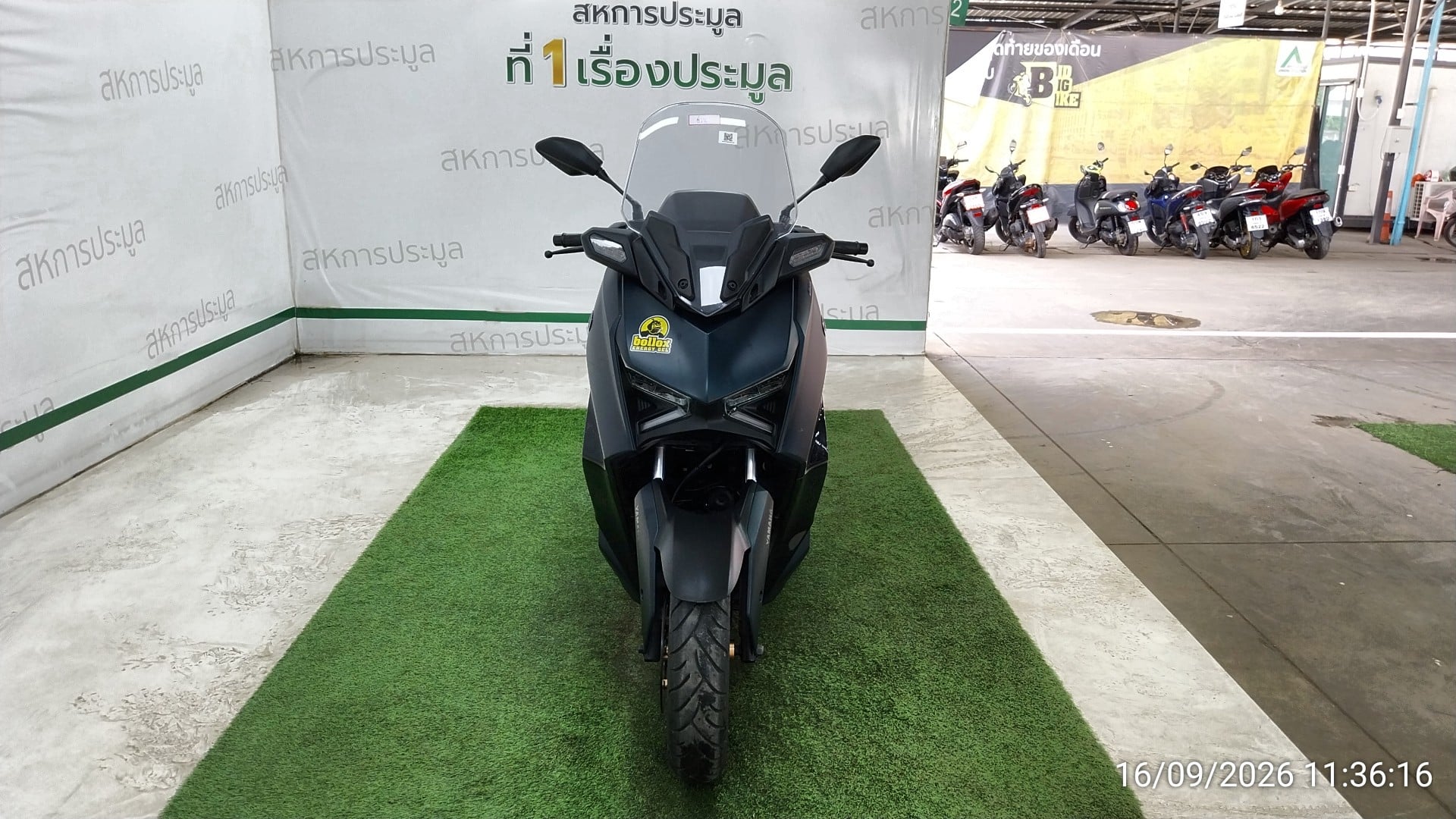 YAMA YAMA116 2023