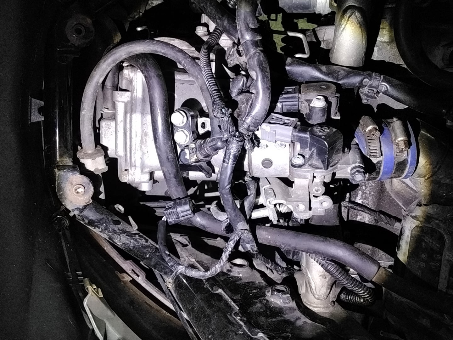 HOND HOND155