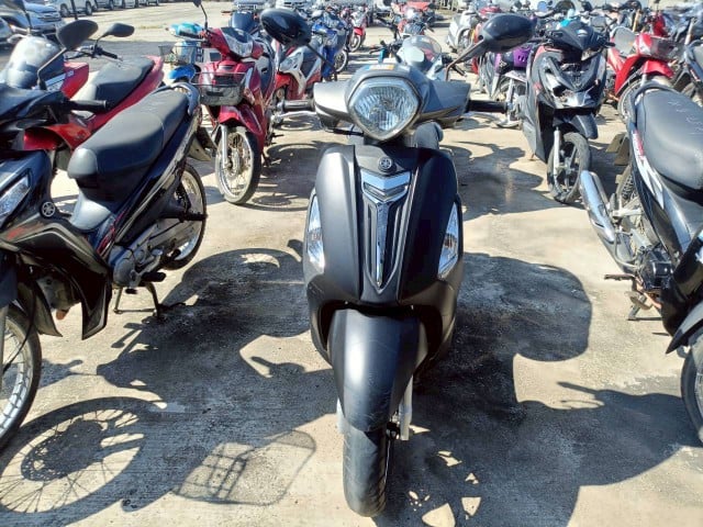 YAMA YAMA033 2019