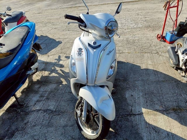 YAMA YAMA033 2019