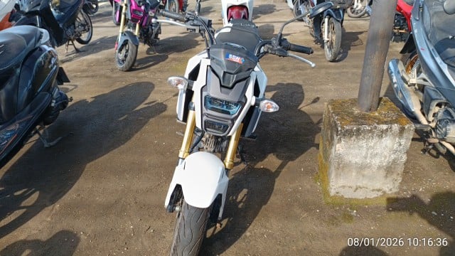 HOND HOND065 2019