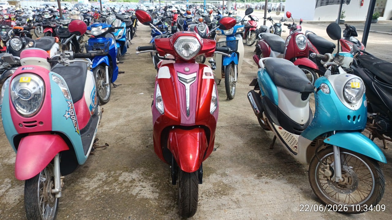 YAMA YAMA033 2019