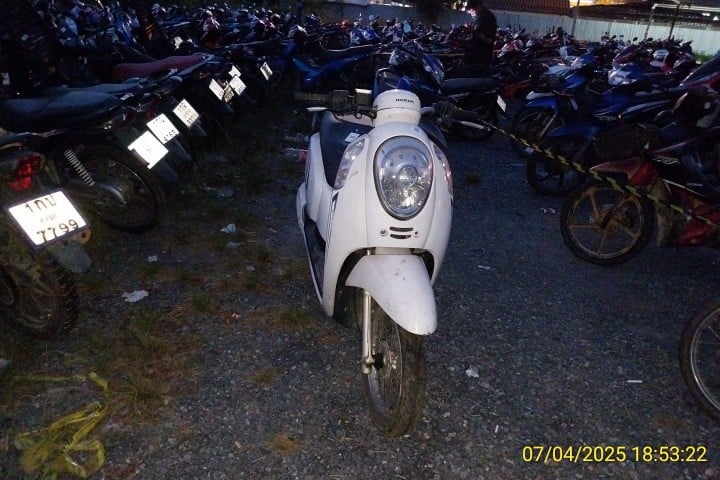 HOND HOND055 2013