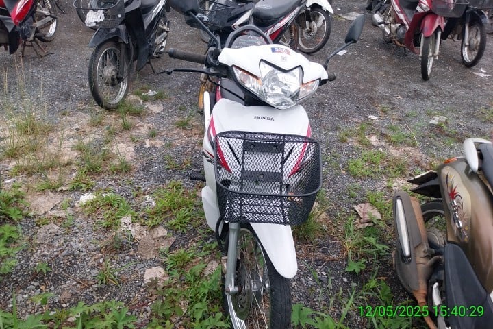 HOND HOND052 2019