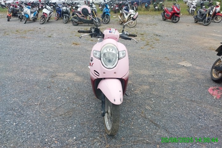 HOND HOND055 2019