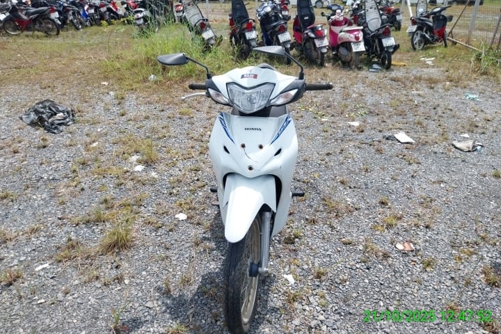 HOND HOND052 2020