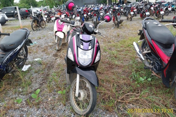 SUZU SUZU025 2014