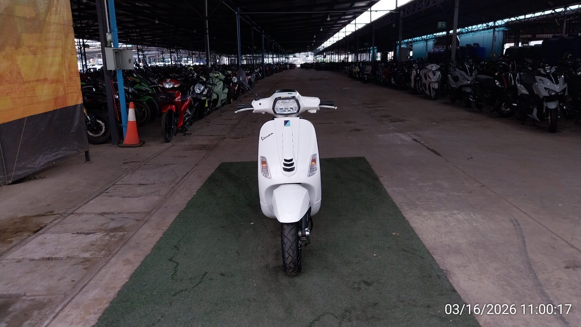 VESP VESP028 2025