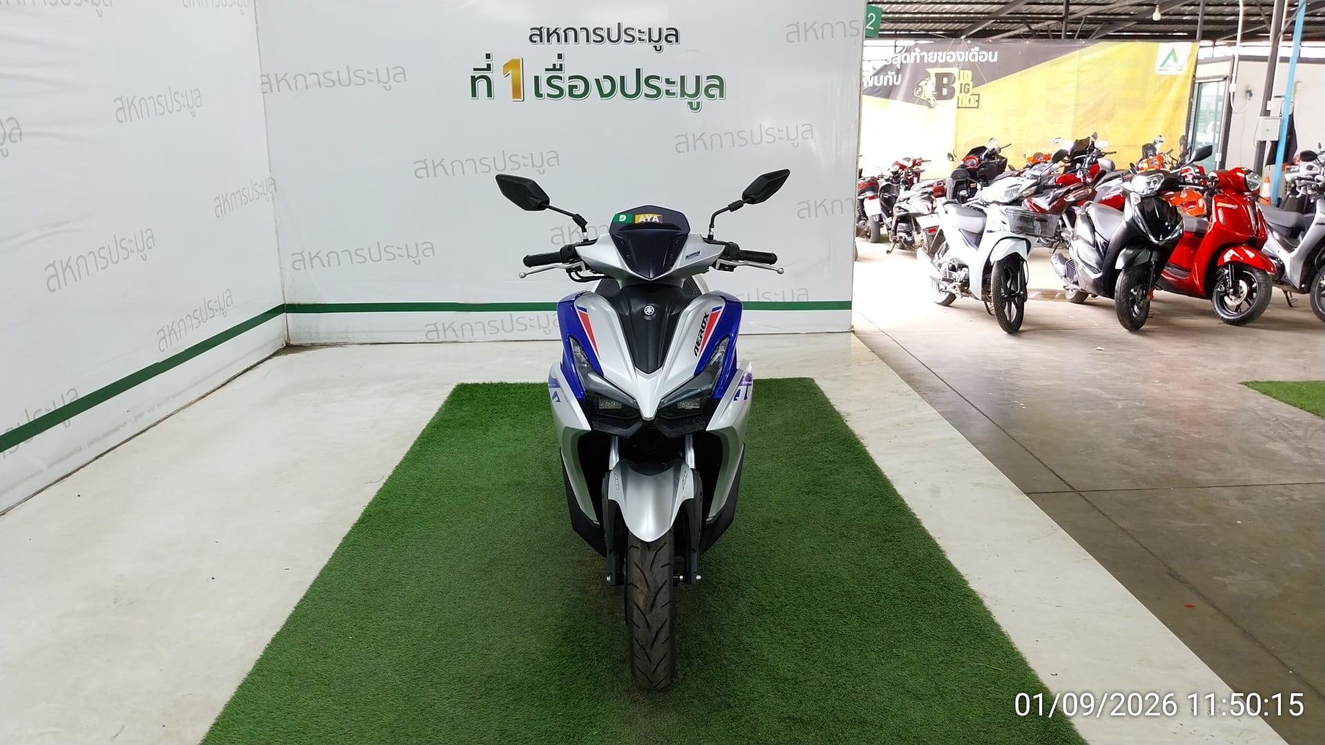 YAMA YAMA065 ABS  Y-CONNECT 2026