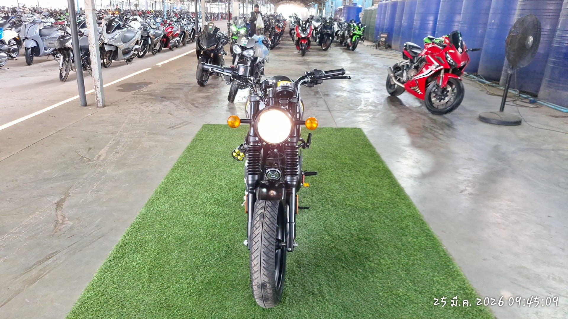 ROYE ROYE013 ABS 2025