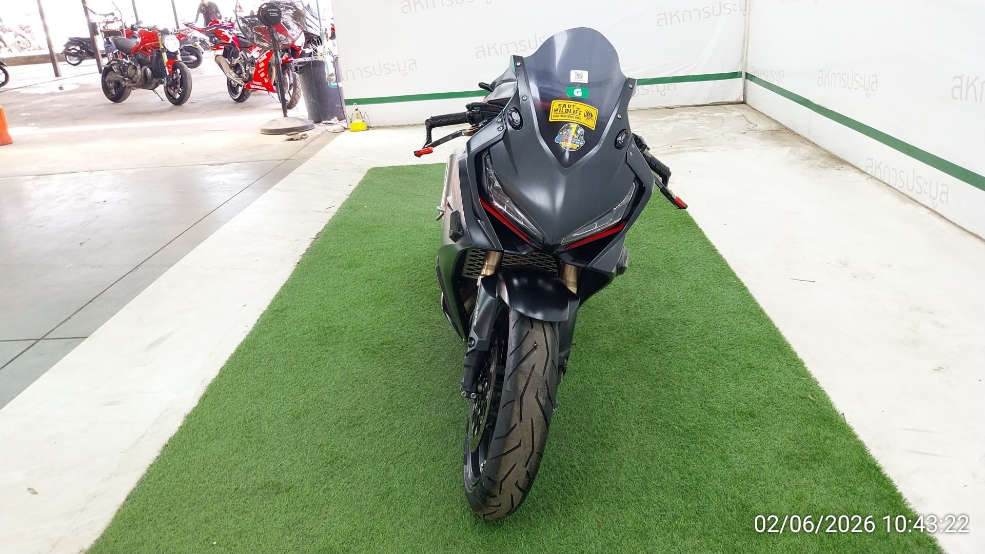 HOND HOND168 ABS 2019