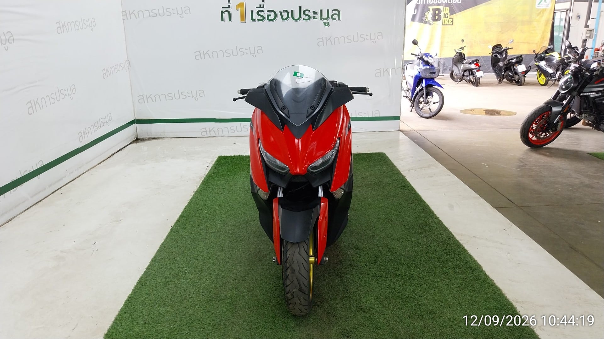 YAMA YAMA116 2020