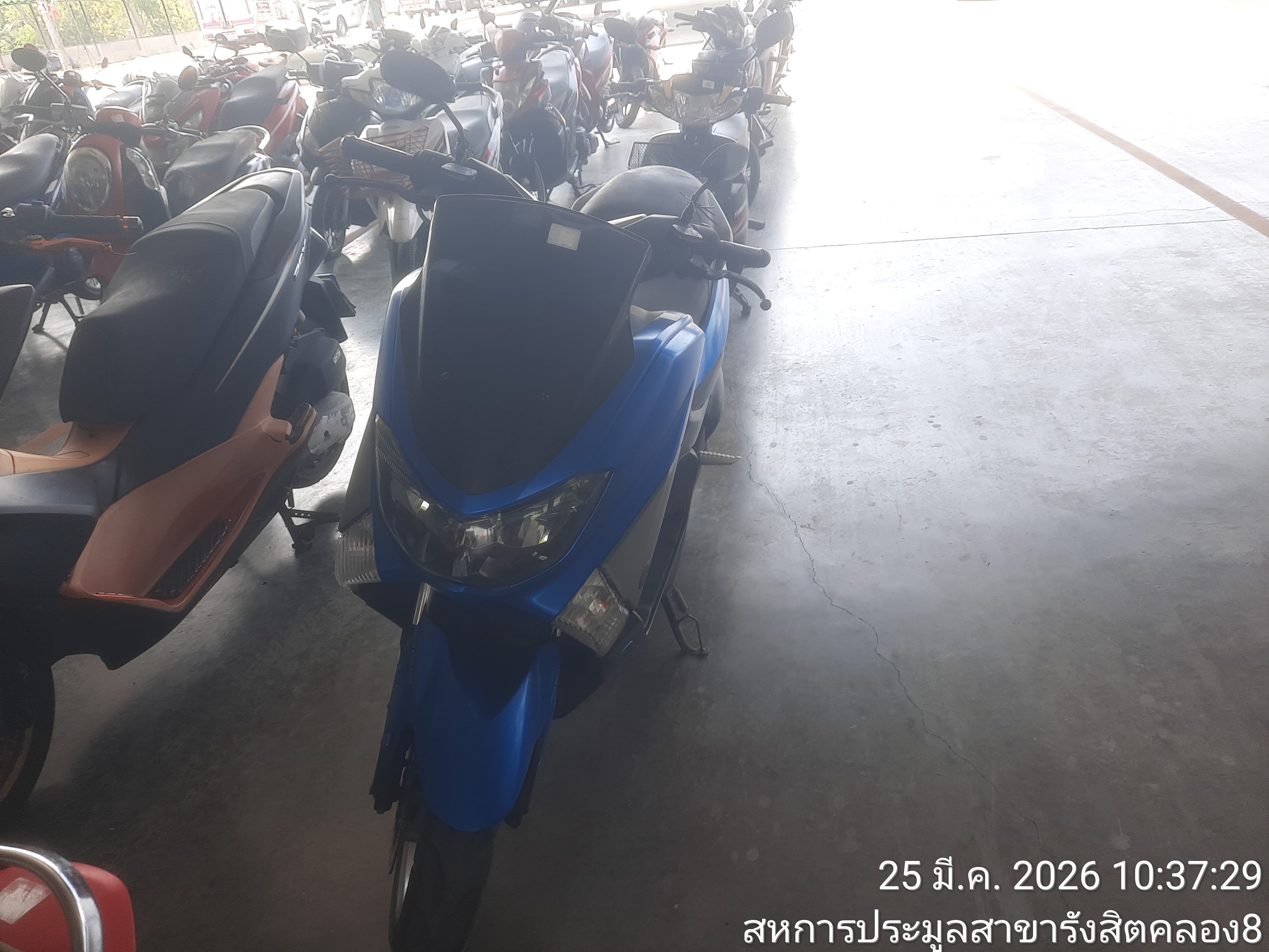 YAMA YAMA053 2018
