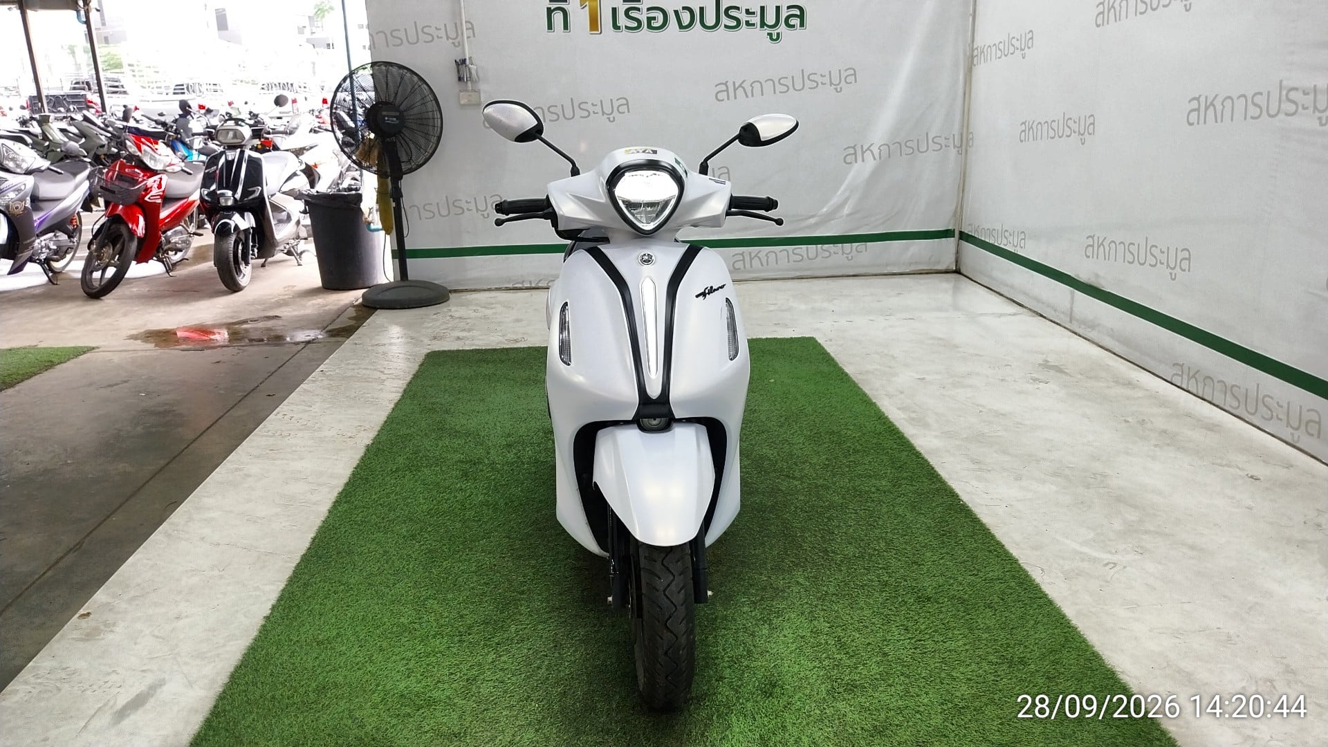 YAMA YAMA117 Y-CONNECT 2026