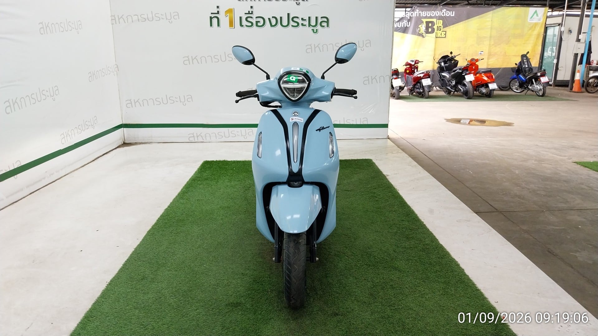 YAMA YAMA117 2023