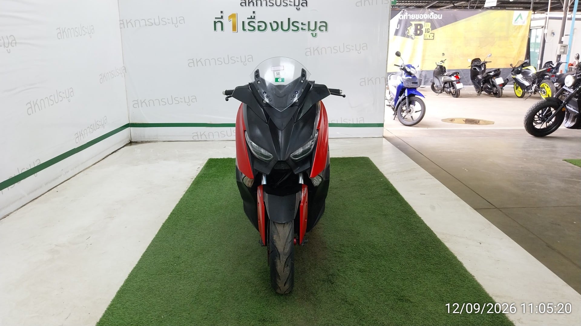 YAMA YAMA116 2020