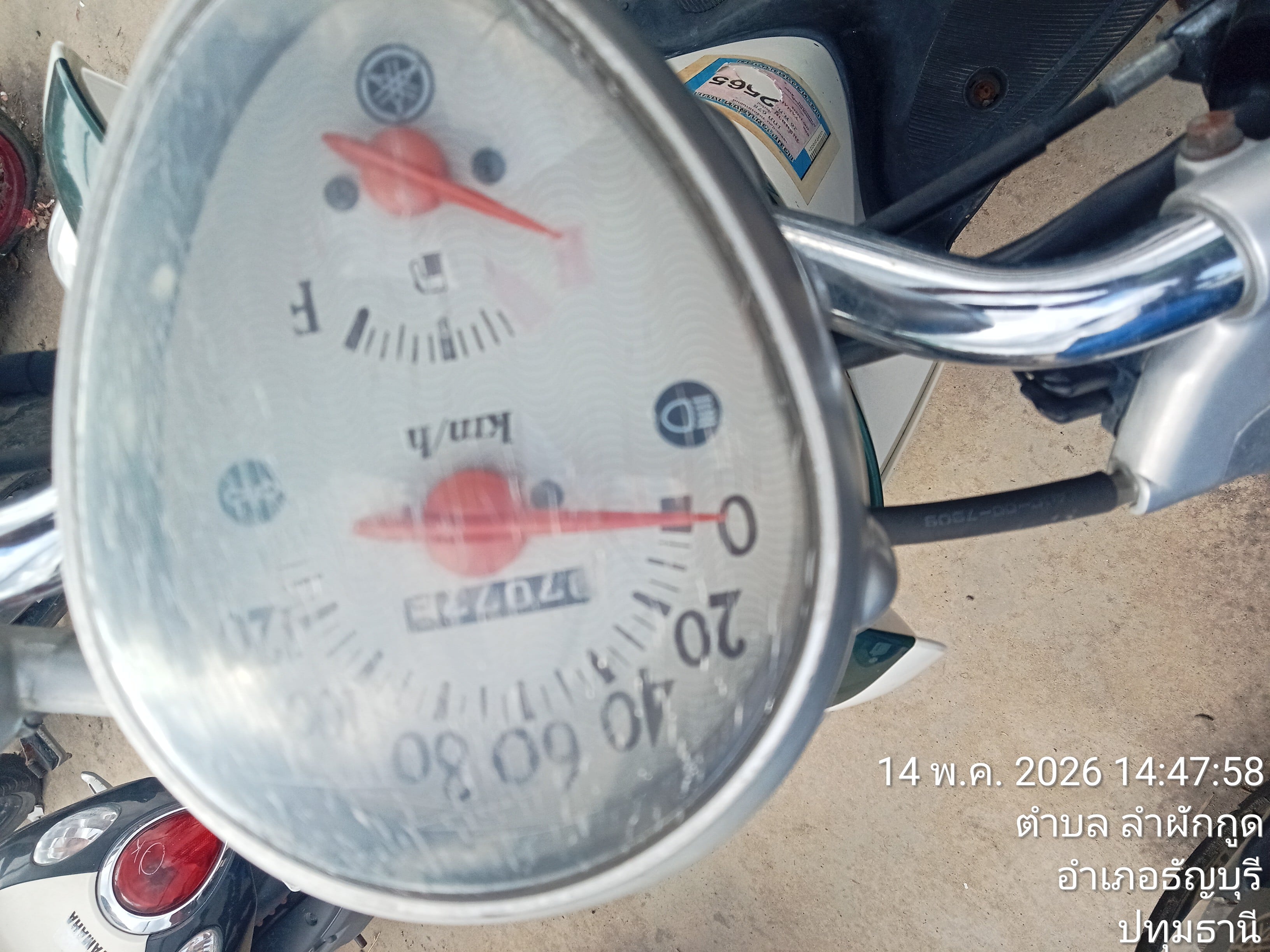 YAMA YAMA013 2007