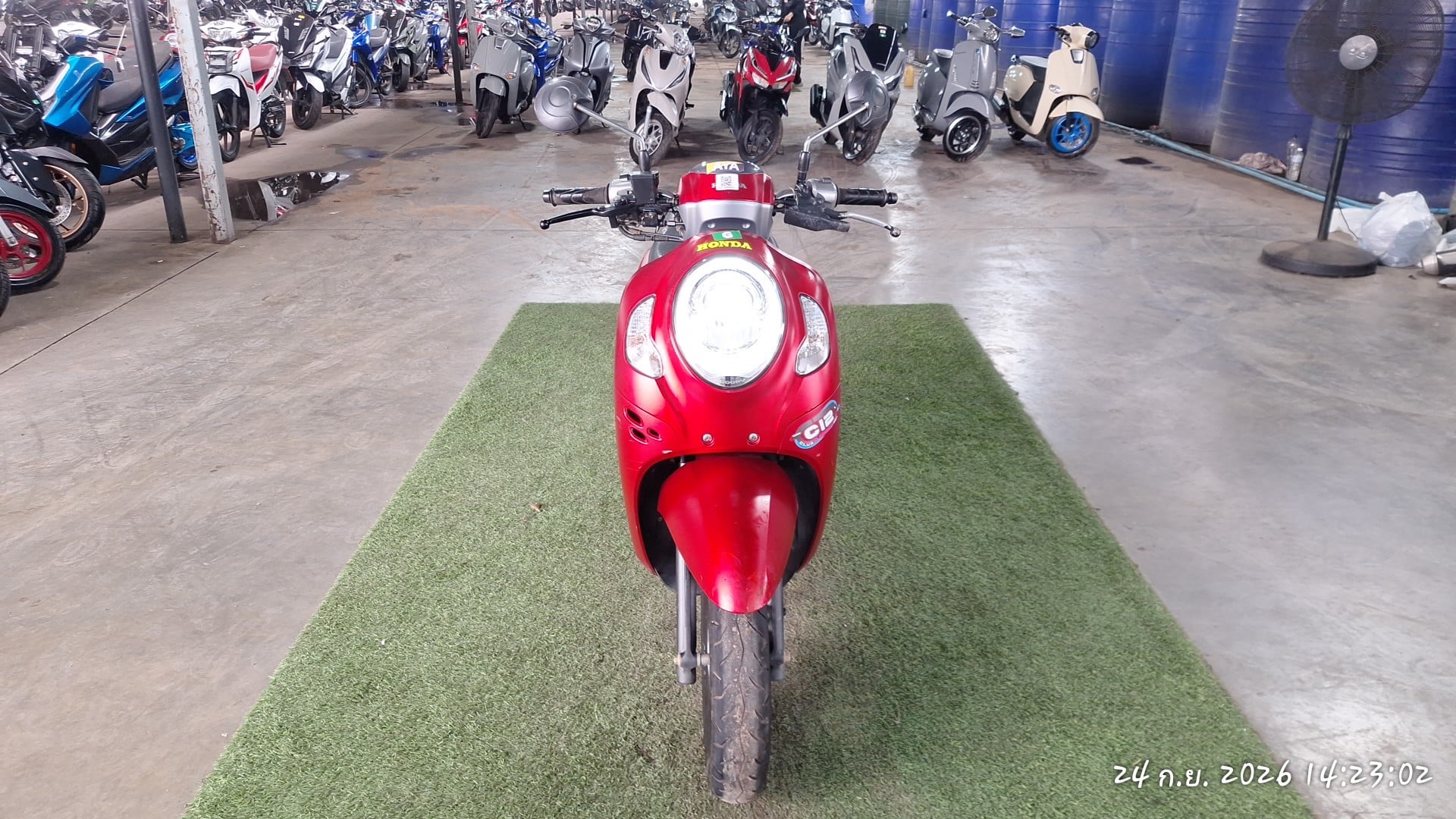 HOND HOND150 CLUB12 2023