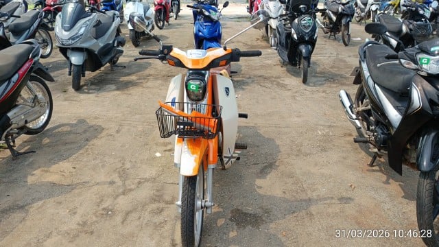 GPX GPX029 110 2023