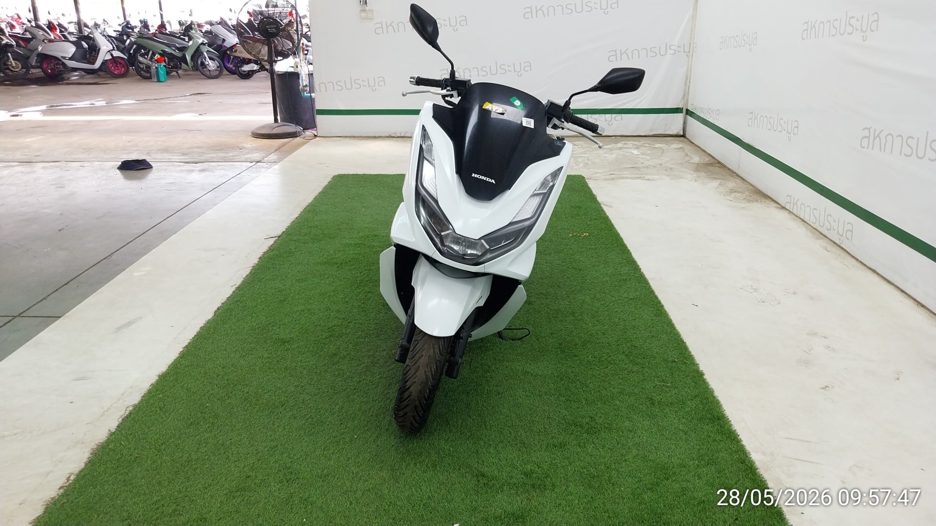 HOND HOND149 ABS 2024