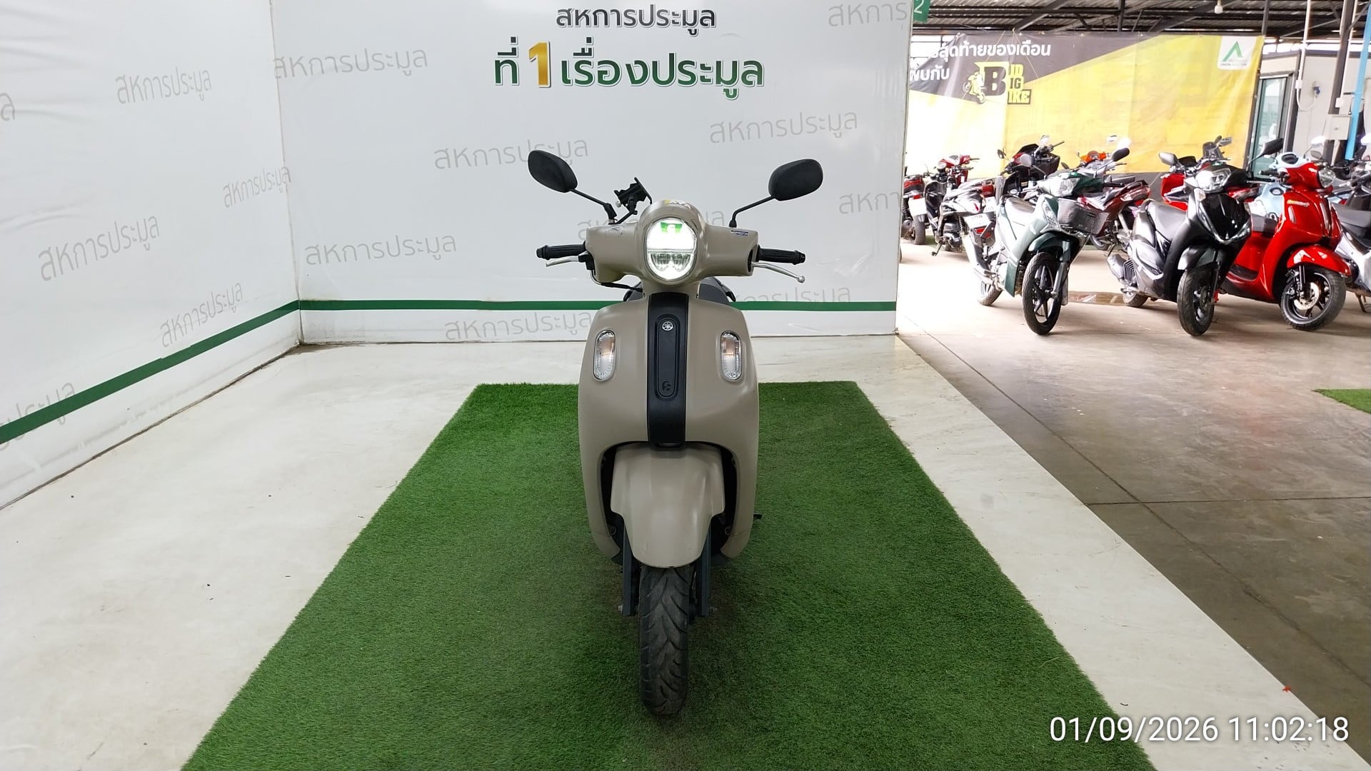 YAMA YAMA118 2024