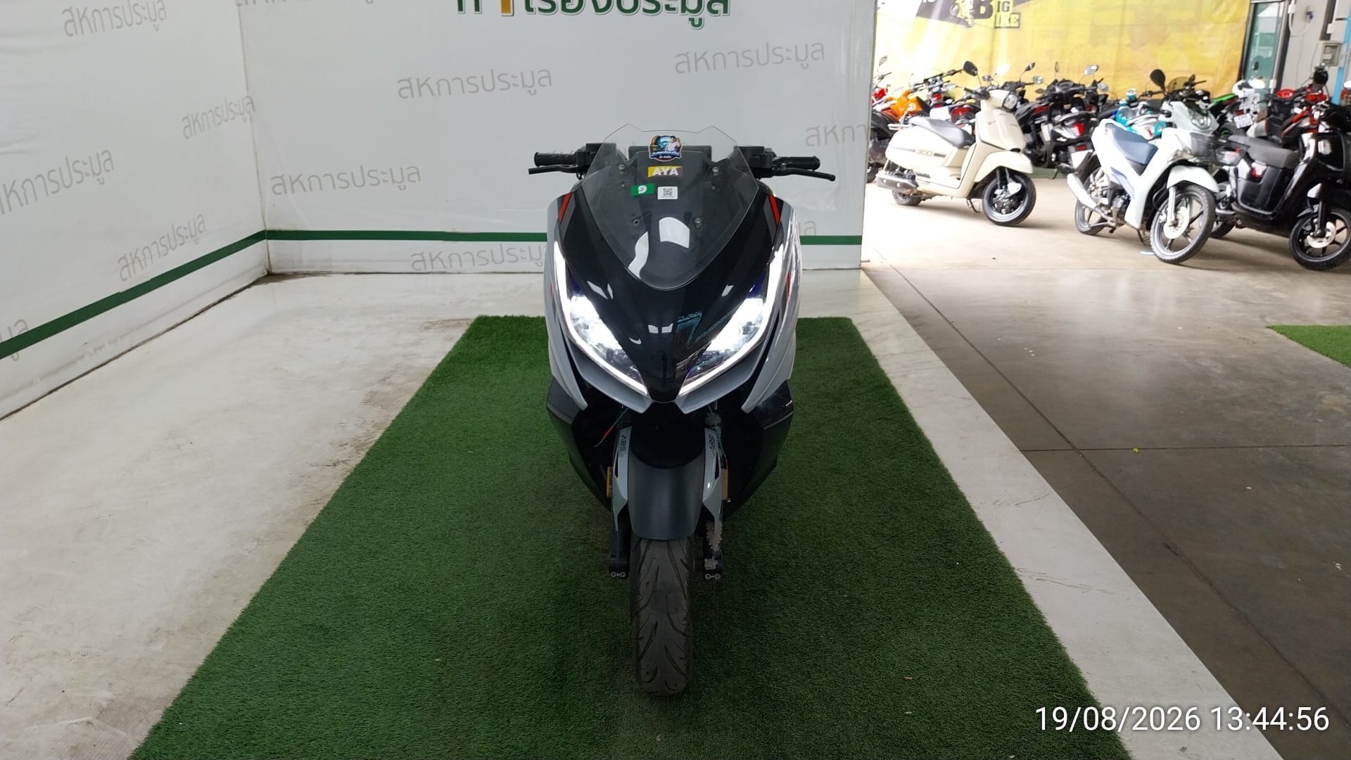 ZONT ZONT005 ABS 2025