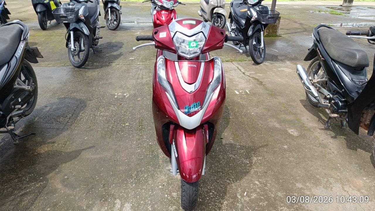HOND HOND155 2023
