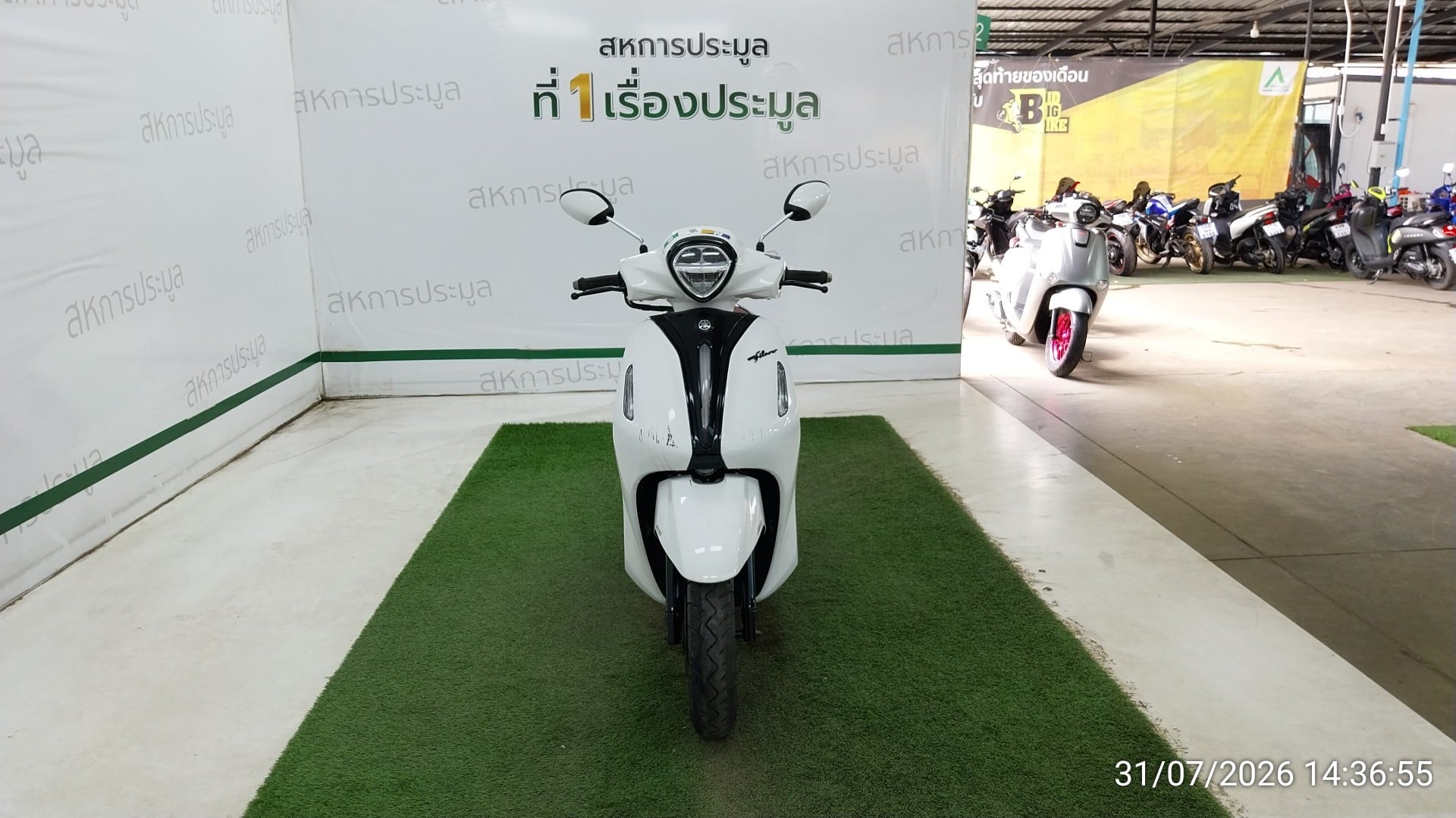 YAMA YAMA117 2024