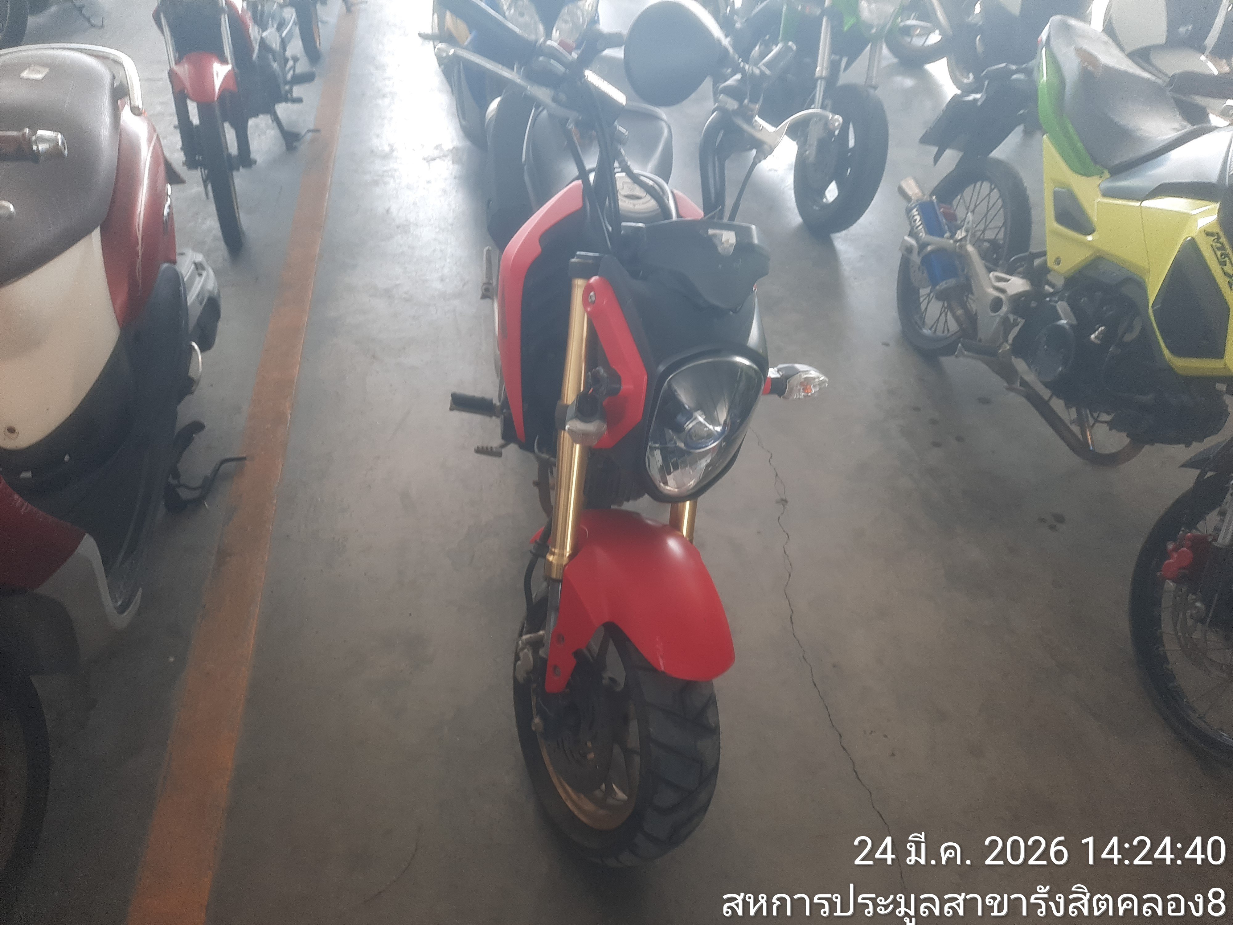 HOND HOND071 2017